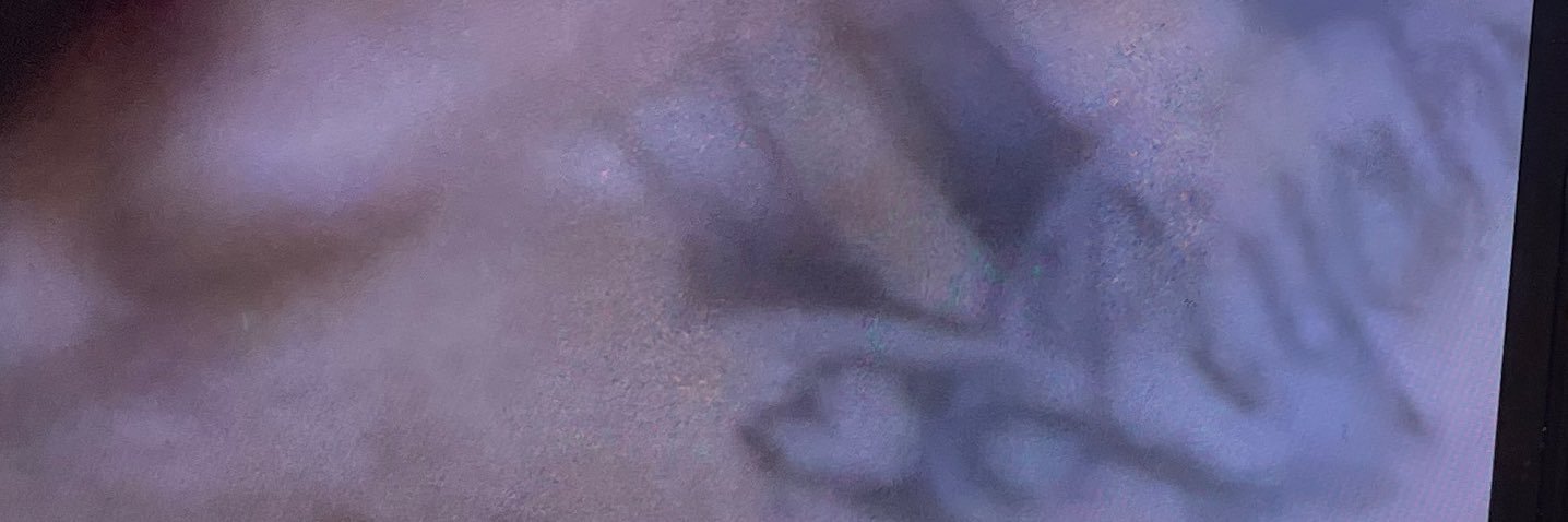 liyahhhzelanee's profile banner image