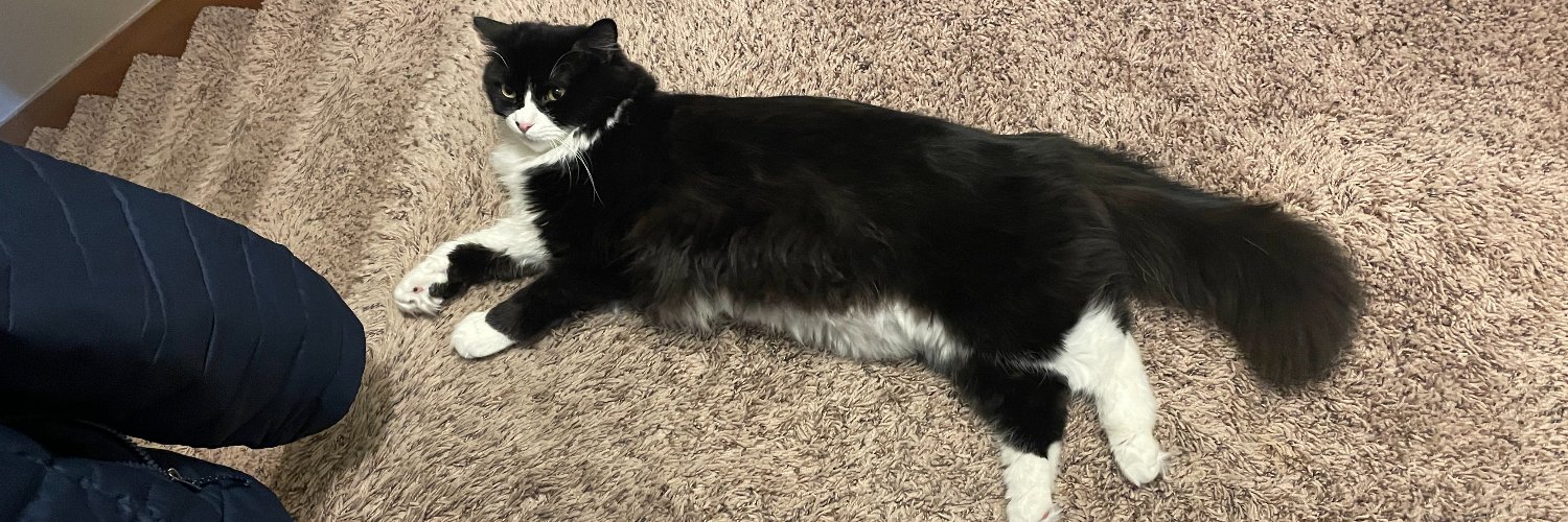 Joshua Lucsol 🐈‍⬛ banner