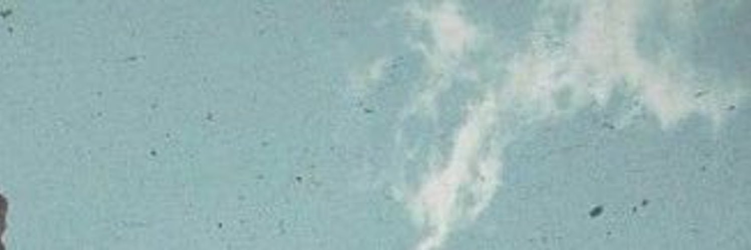 bracth00's profile banner image