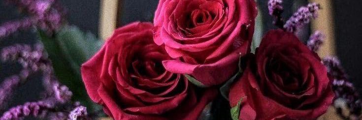 mosead801's profile banner image