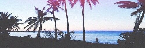 StephanieFlip's profile banner image
