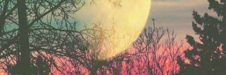 LuanGoul's profile banner image