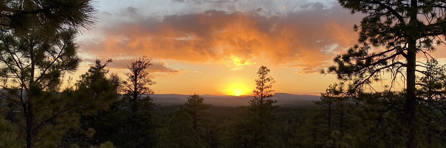 BlakeSchlueter's profile banner image