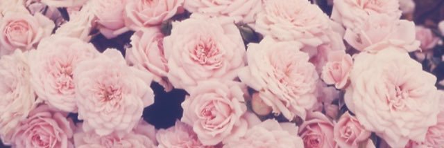 Samii_Wilschere's profile banner image
