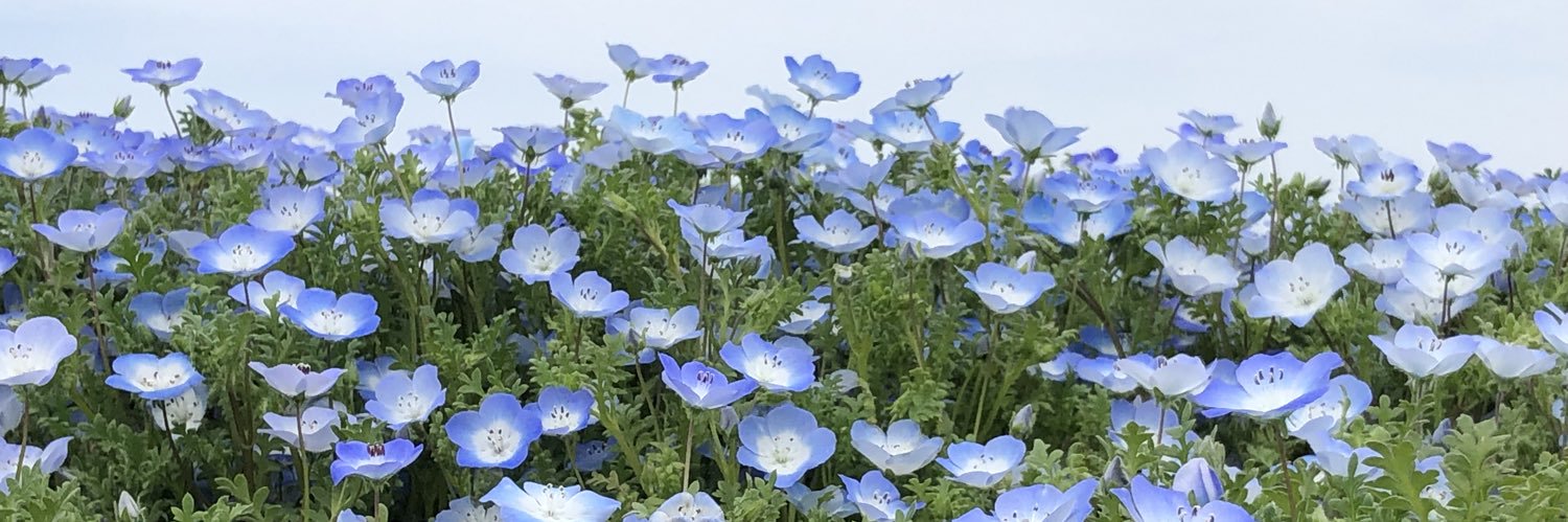 peroty0901's profile banner image