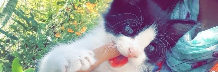 ColmanOKK's profile banner image