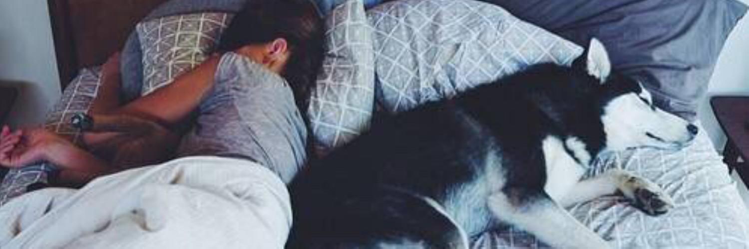 rizzytrianda's profile banner image