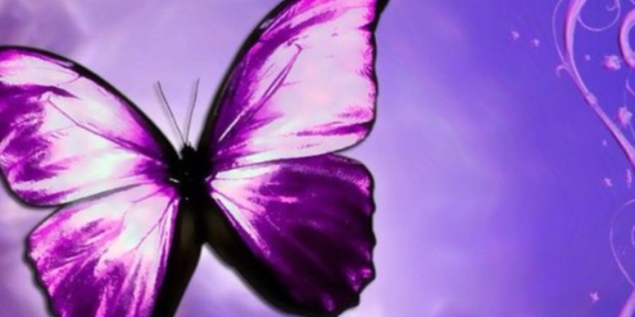 aromag73's profile banner image