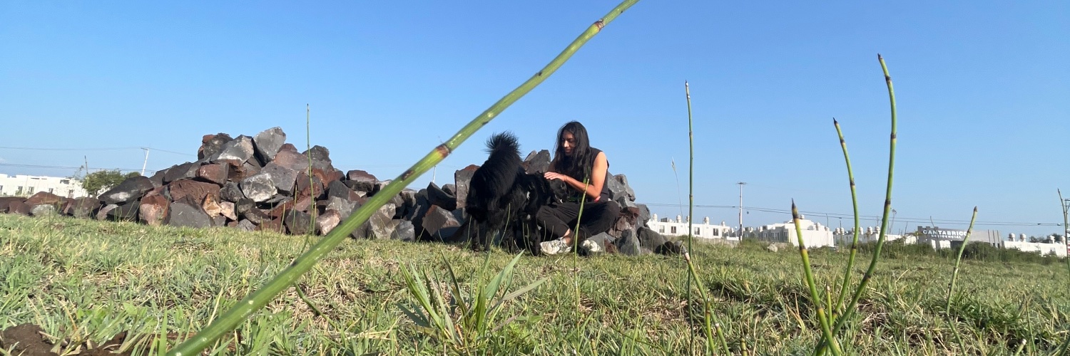 Convoyente Taquero banner