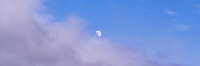 NichoPatak's profile banner image