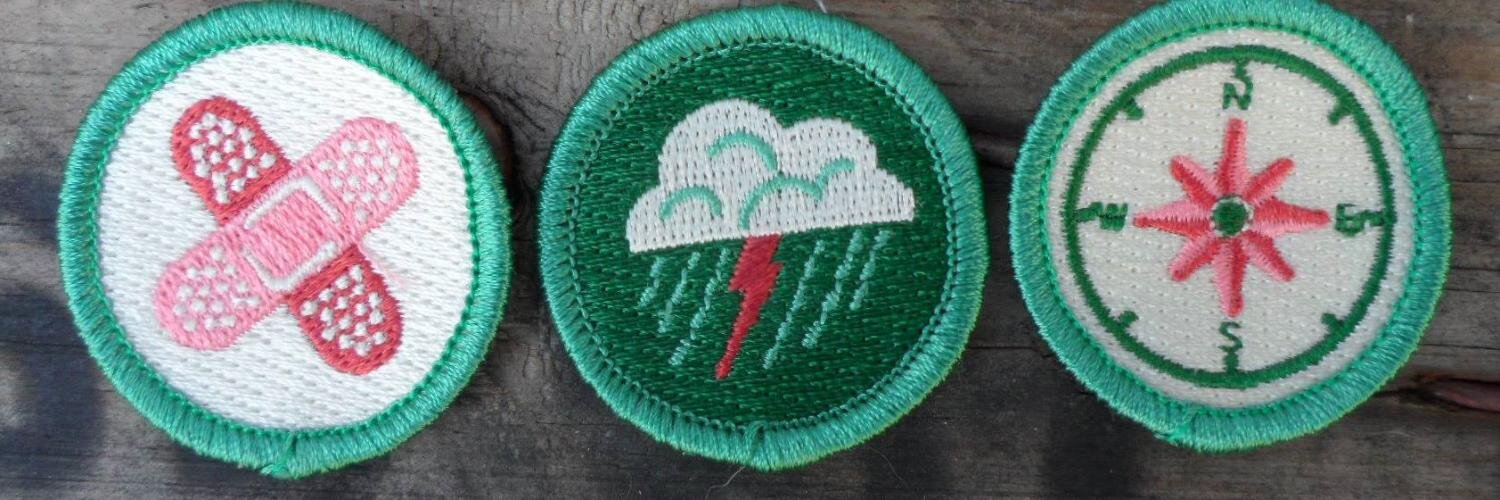 scoutproject's profile banner image