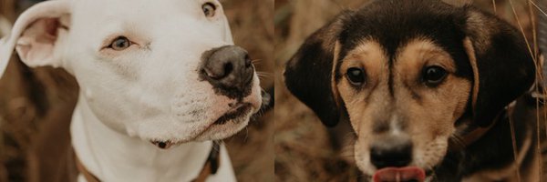 g_mackenzie13 Profile Banner