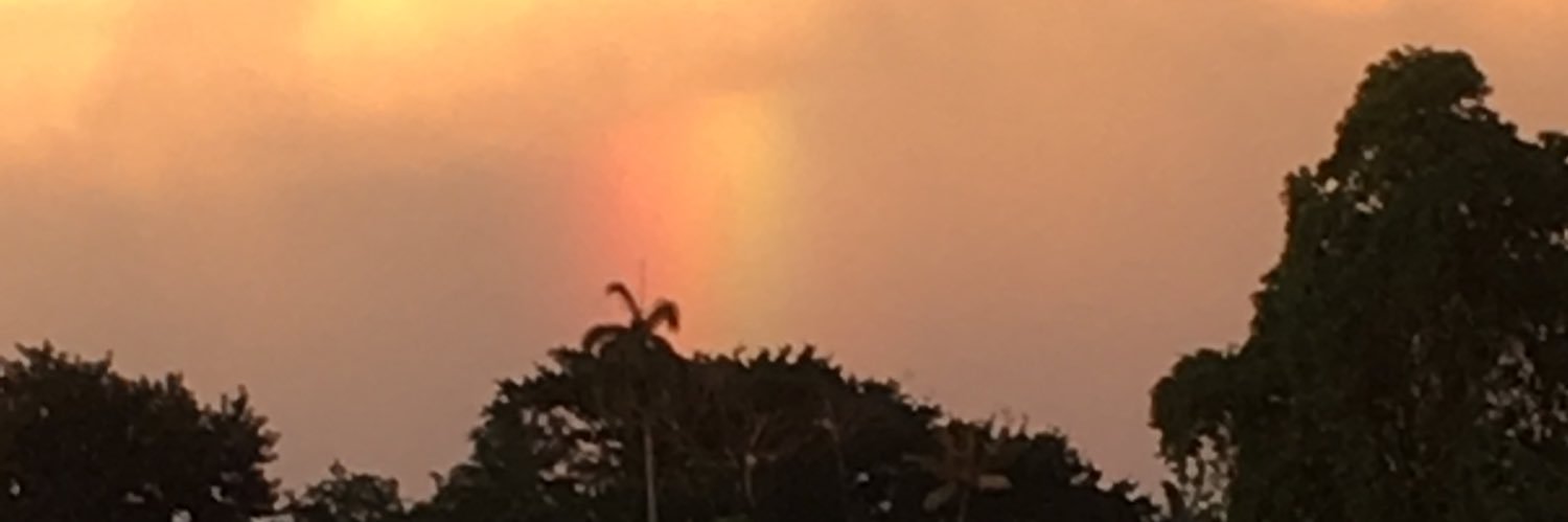 the_zoolife's profile banner image