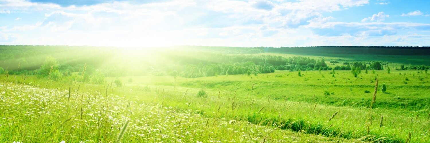 endersys's profile banner image