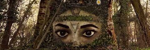 samaraamortegui's profile banner image