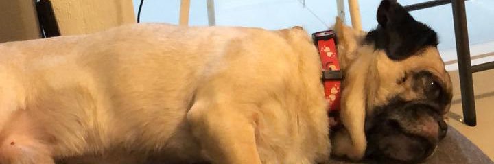 _AgustinMA_'s profile banner image