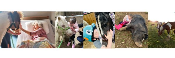 TheHugsFoundat1 Profile Banner