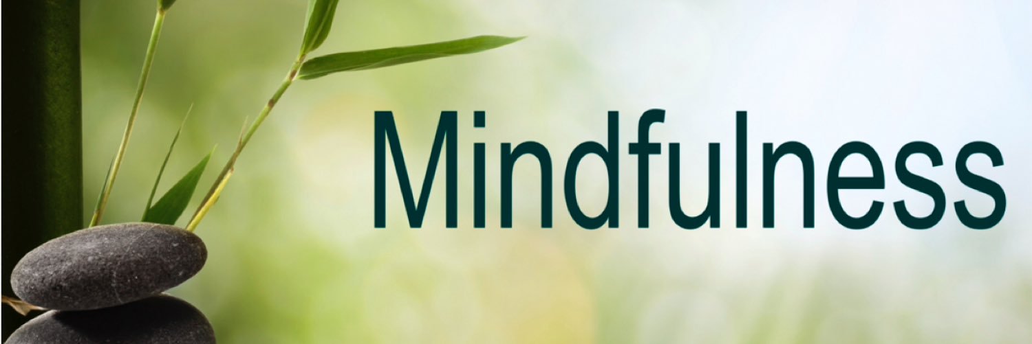 Stacey Kenney banner