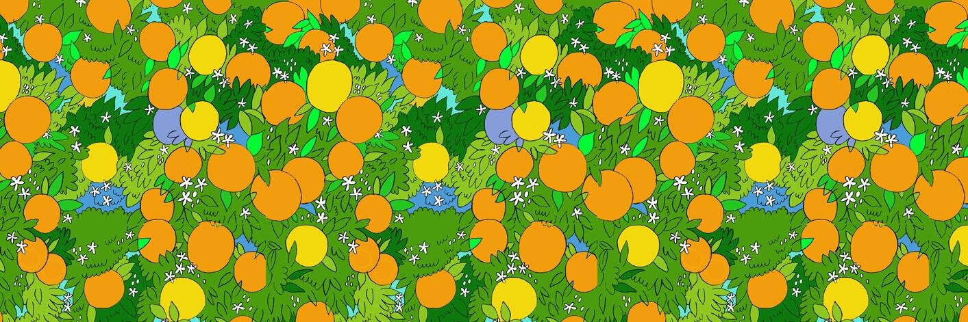 Vanessa Davis banner