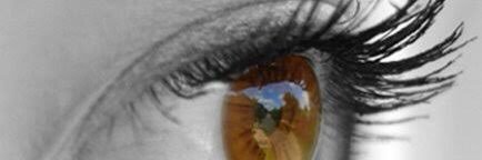 rabitnik's profile banner image