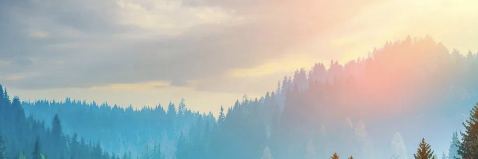 Soy_Sizzle's profile banner image
