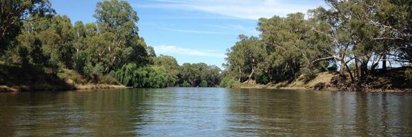 lauzfitz Profile Banner