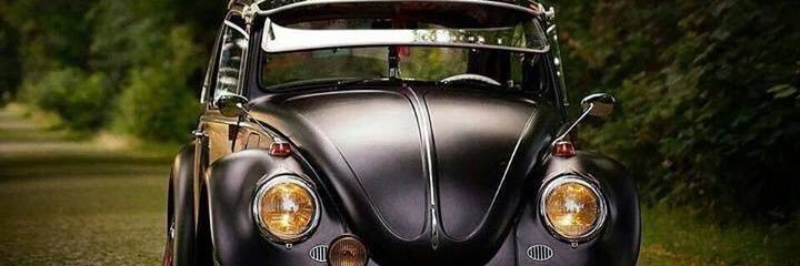 El MITO banner