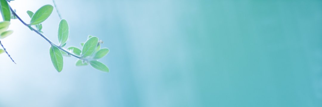 mi119's profile banner image