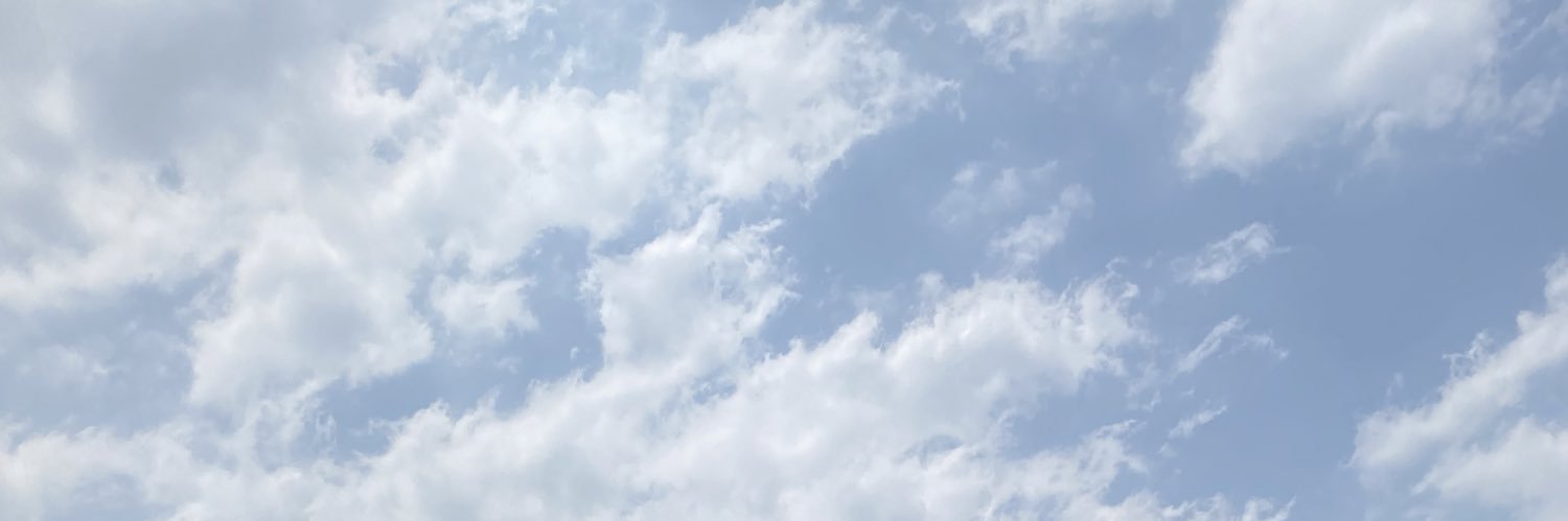 torobikko's profile banner image