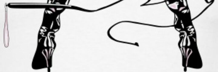 magicprincessb's profile banner image