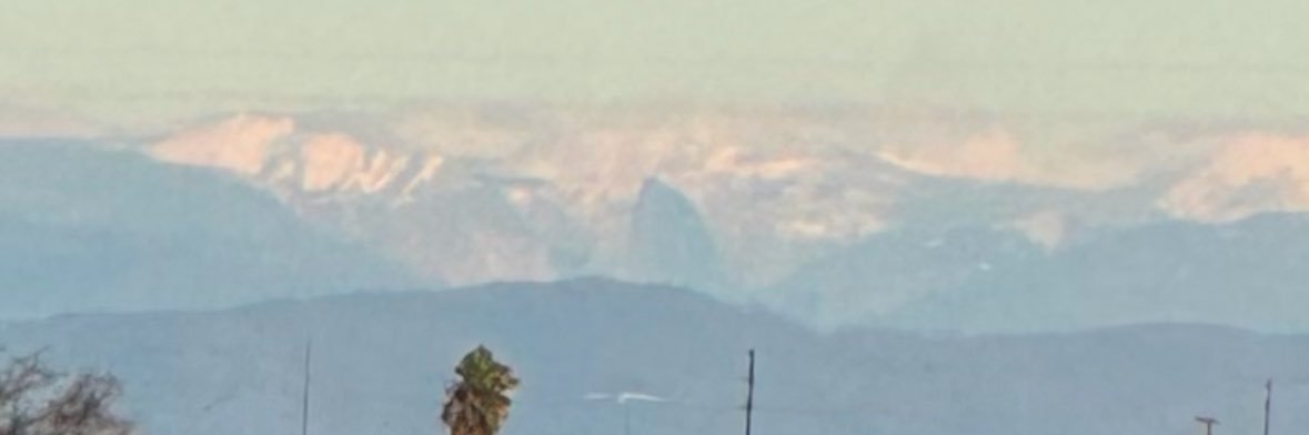 Teri Rowan banner