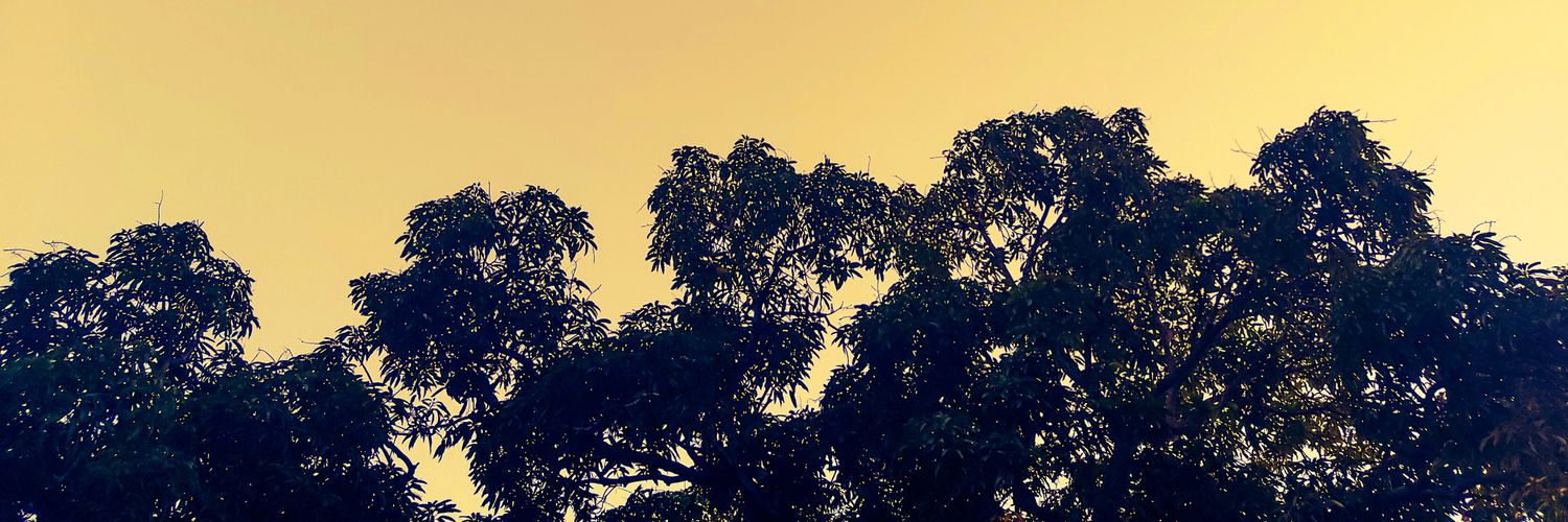 jessecommerce's profile banner image