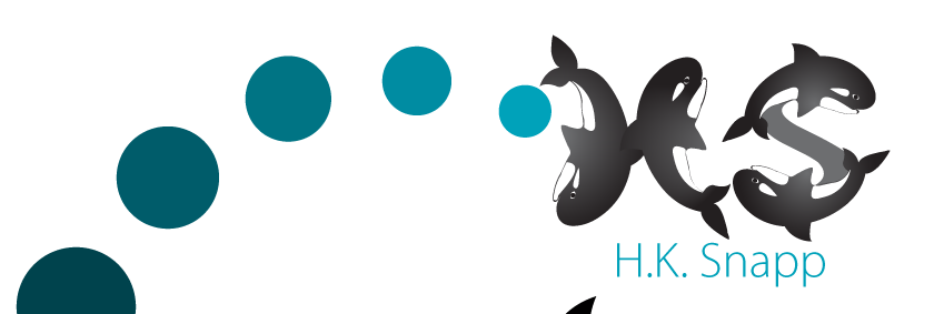 hksnapp's profile banner image