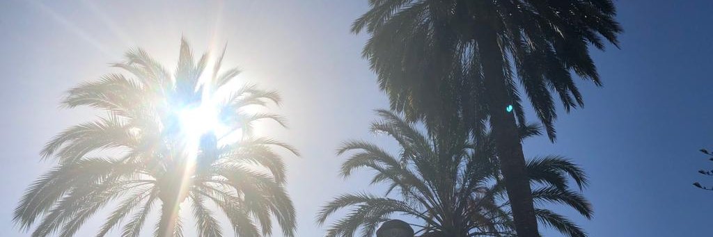 SamLHopkins's profile banner image