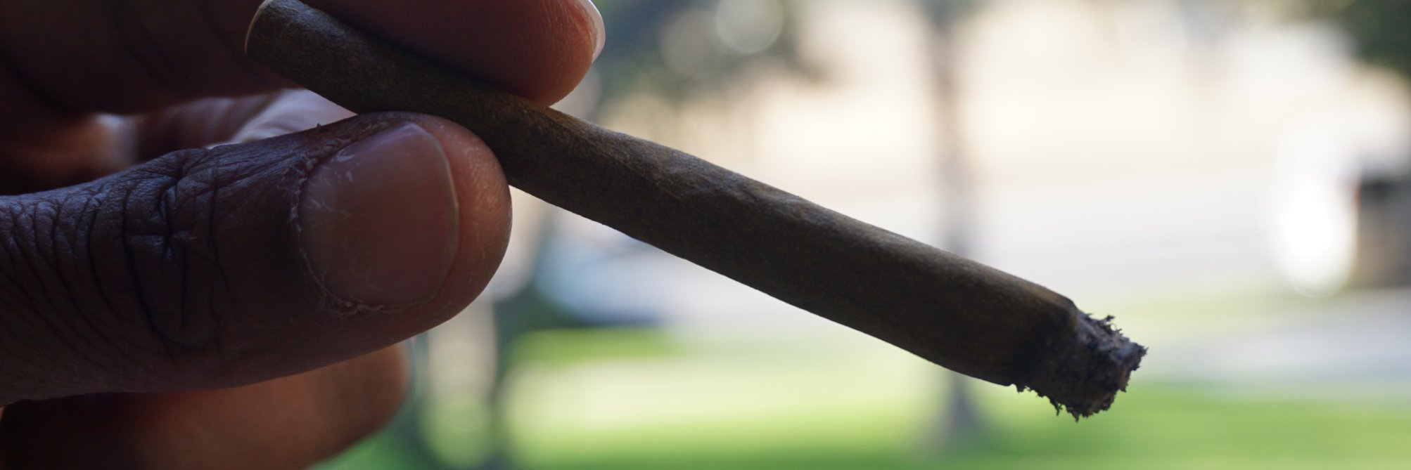 TheGrassSkirtLounge banner