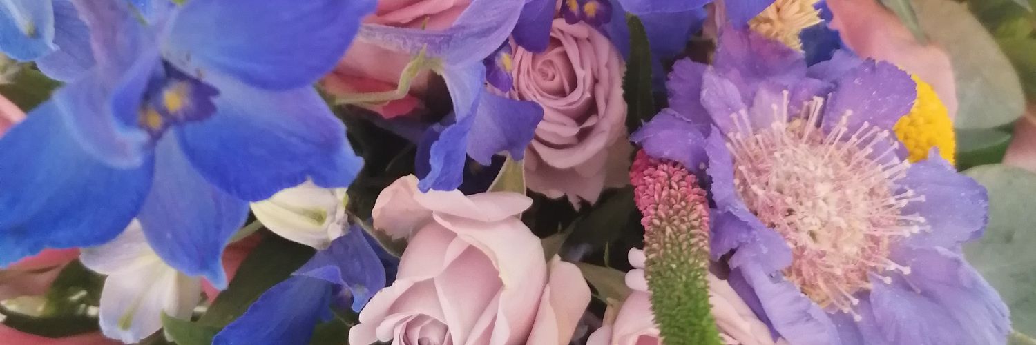 Tamsin Bellaby banner