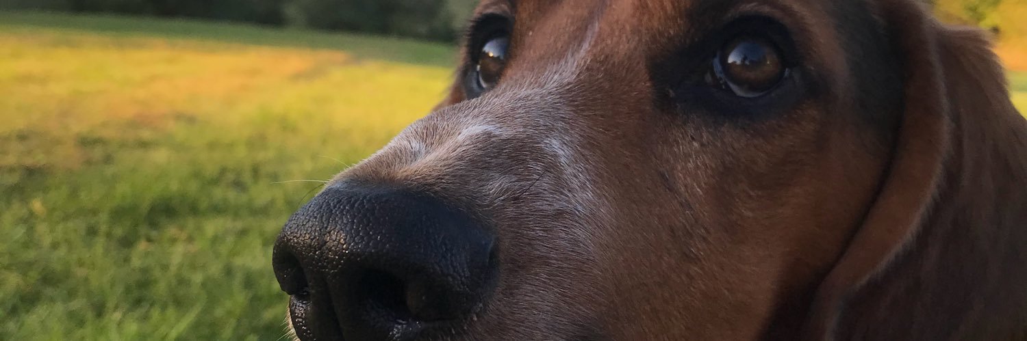 BenWharton15's profile banner image