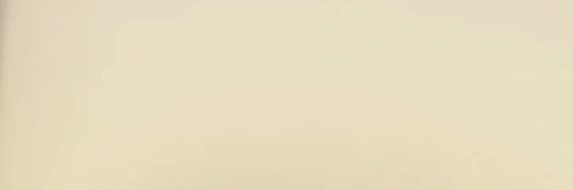 margaridaa_____'s profile banner image