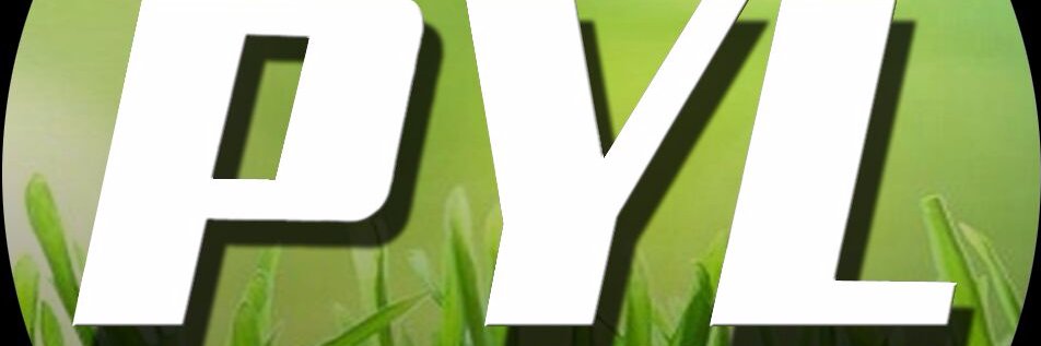 Playyourleagues banner