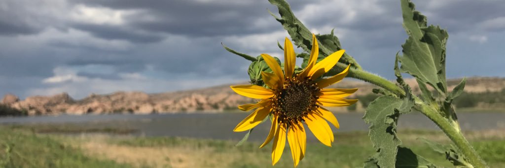 RaphaelTemple's profile banner image