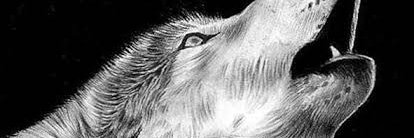 MmataLordrick's profile banner image