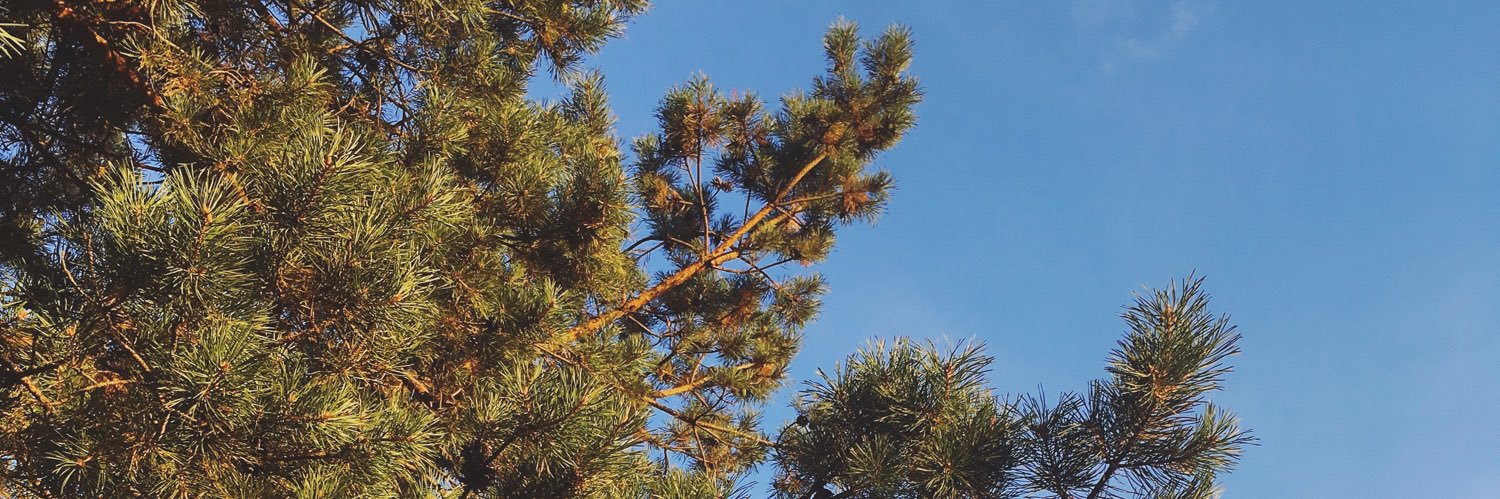 Андрей Дмитриевич🇧🇾 banner