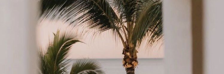 tropicalmessboy banner