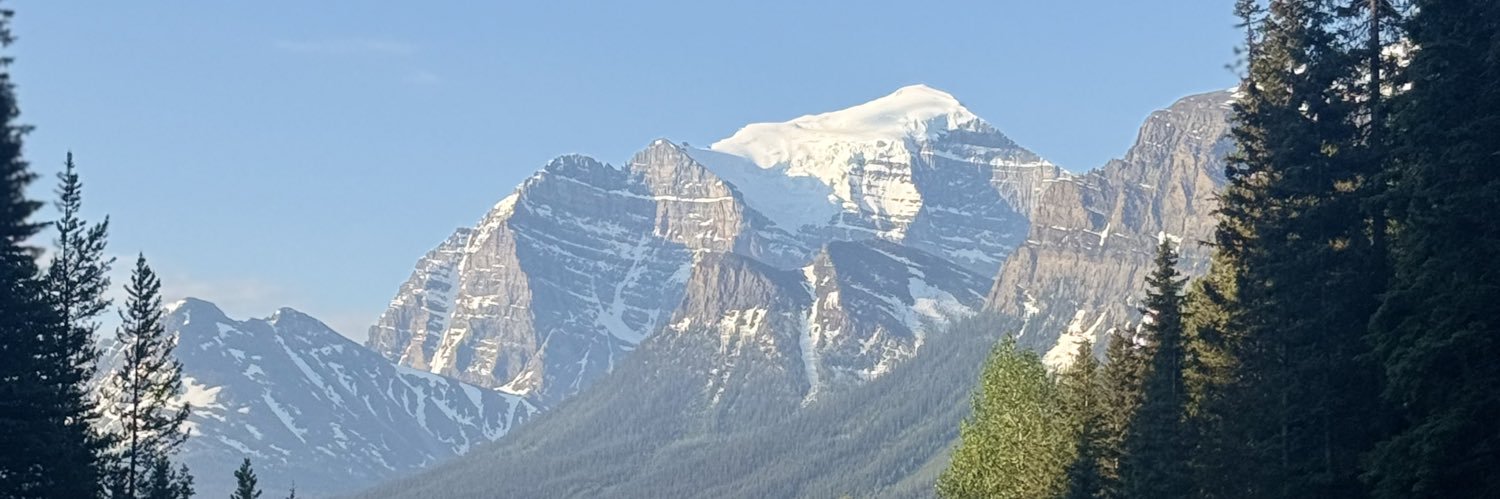 DiamondHands💎 banner