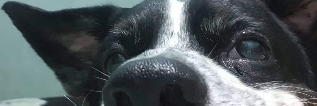 annethrmthrfckr's profile banner image