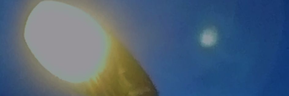 VIIIEEM's profile banner image