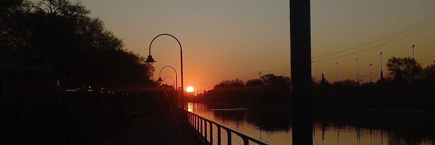 silvinascr_'s profile banner image