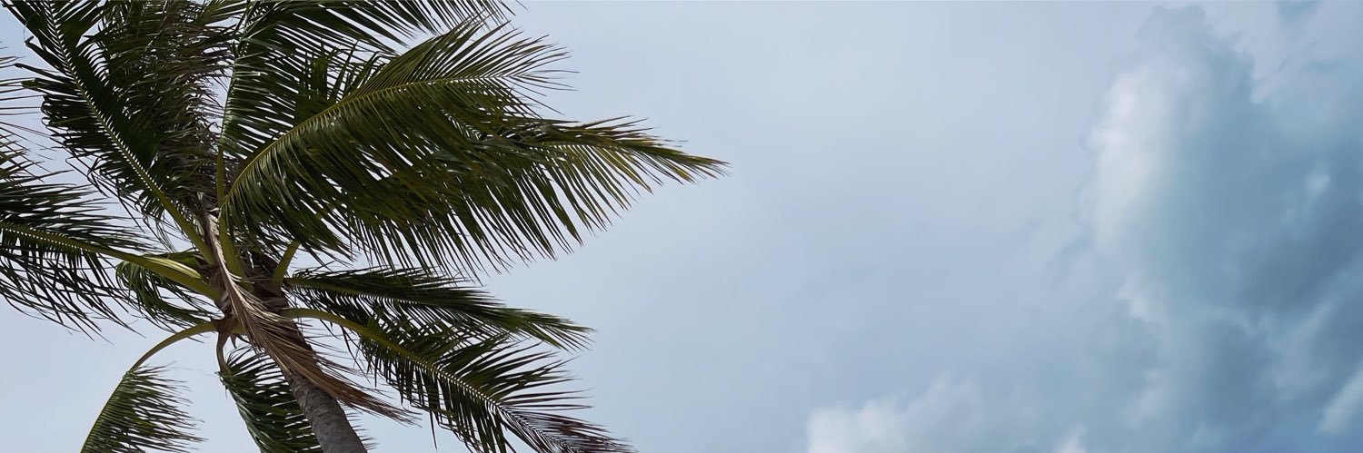 Brightbrightx's profile banner image