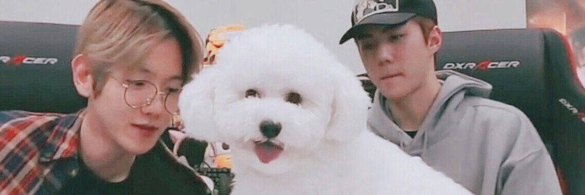 mintbleuty's profile banner image
