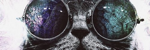 tedybreik's profile banner image
